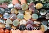 TWBS54 15 inches 16mm twist coin indian agate beads wholesale